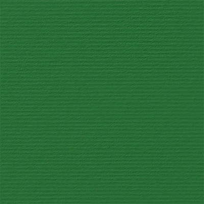 Fabriano Картон Elle Erre, 70 x 100 cm, 220 g/m2, № 111, зелен Fabriano Картон Elle Erre, 70 x 100 cm, 220 g/m2, № 111, зелен